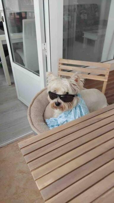 Nice Apartment Near The Sea Torrevieja Ngoại thất bức ảnh
